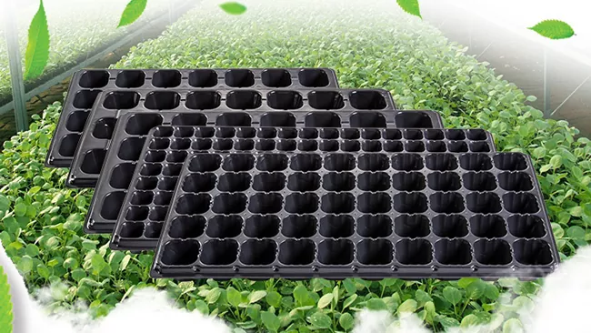 Apa mesin produksi kanggo tray seedling?